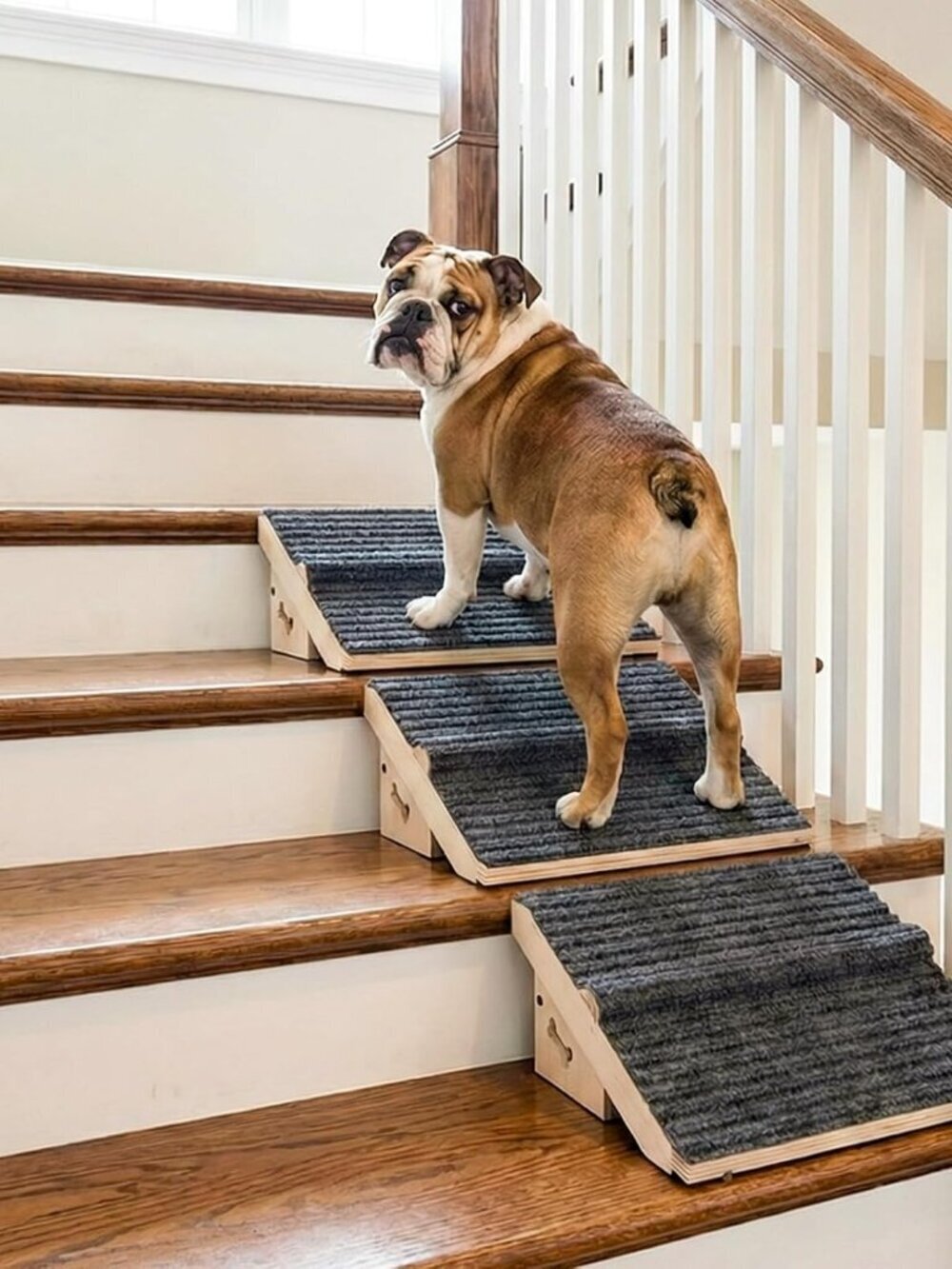 3 Pack Wooden Dog Ramp for Stairs,Friendly to Short-Legged/Small/Injured
